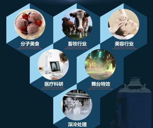 Miniatura 3 de Tanque de nitrógeno líquido 10L Contenedor criogénico LN2 Dewar con correas