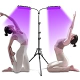 Bräunungslicht Solarium Portable Tanning Lamp für Home Gesichtsbräunung Tageslicht für Gesicht und Körper für zu Hause with Adjustable Stand and Hanging Hooks (D)