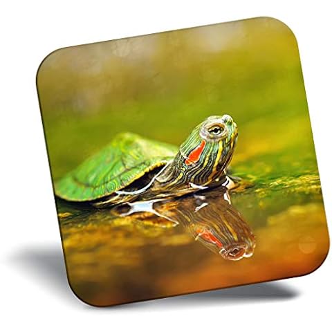 Destination Vinyl ltd Fridge Magnet - Little Turtle Terrapin Swimming 16940 Cover
