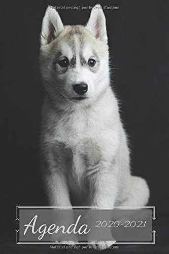 Télécharger Agenda 2020-2021 Husky: Agenda Scolaire de 140 Pages | Septembre 2020 à Août 2021 | Format Pratiqu livre En ligne