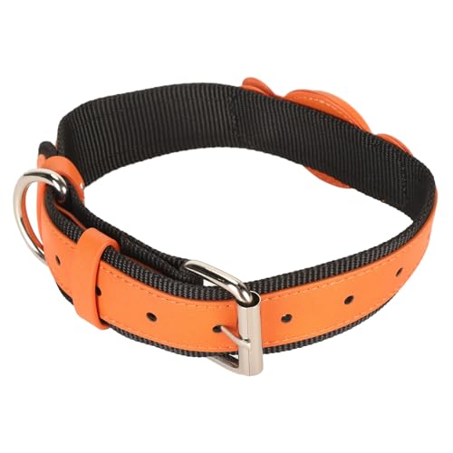Collier pour chien réglable et résistant à l'eau en cuir robuste - 5