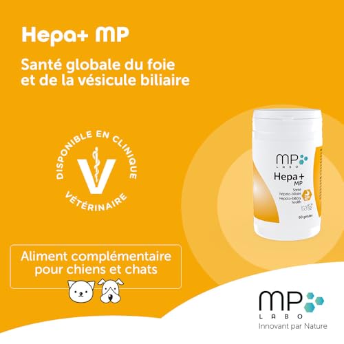 Vignette produit