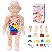 Montessori Jouet Développement Jouet En Plastique DIY Modèle De Corps Humain Modèle D'organe Humain 3D Anatomie Puzzle Education Bâtiment Montessori Jouet Modèle De Corps Humain pour Enfants Montessor