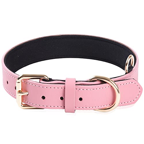 Collares Perros Cuero Marca BFRLBFQ