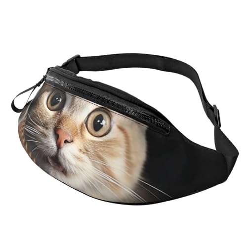 EGXgpbN EGXgpbN jp XOobNpbN ǂłxgobO ΂̖쌴ɍL NX{fBobO, L̓Wbp[t̃U[|Pbg`܂B, One Size