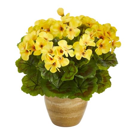 100Pcs Yellow Geranium Flower Seeds