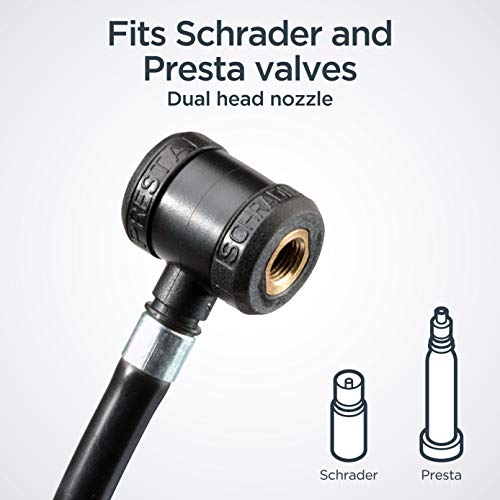 https://m.media-amazon.com/images/I/41thyXZL3qL._SL500_.jpg