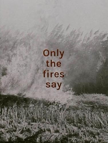 ALAN EGLINTON ONLY THE FIRES SAY /FRANCAIS/ANGLAIS
