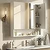 VASAGLE KAILYN Collection - Medicine Cabinet Mirror, Bathroom Wall Mirror Cabinet with Storage, Open Compartment, Adjustable Shelves, 6.5 x 27.6 x 29.5 Inches, Cloud White UBBK129W01