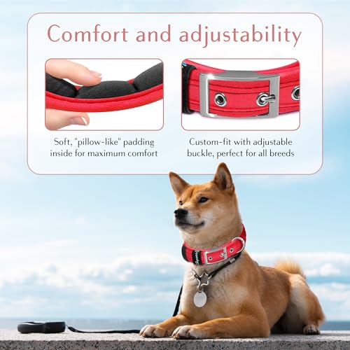 Collar para perro ajustable cómodo, impermeable y reflectante miniatura 2