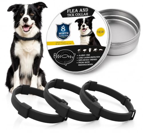 Super Pack de 3 Collar Antiparasitario Perro | contra Pulgas, Garrapatas, Mosquitos y Leishmaniosis | Ajustable y Resistente al Agua | Color Negro
