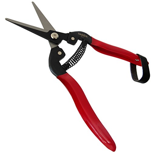 Tabor Tools K7A Straight Pruning Shears With Carbon Steel Blades, Florist Scissors, Multi-Tasking Garden Snips For Arranging Flowers, Trimming Plants And Harvesting Herbs, Fruits Or Vegetables. #TOP1