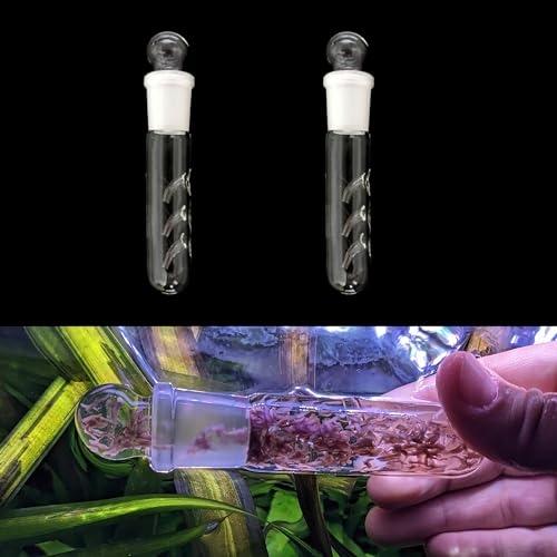 2 Pack 3 Holes Planaria Trap for Aquarium Bristle Worm Catcher Worm Trap for Fish Tank Leeches...