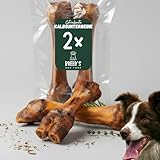 Hunde Helden