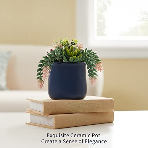 Astridia Artificial Succulent In Ceramic Pots, 2 Packs Large Faux Fake Plants Navy Blue For Desk,Office, Bedroom, Living Room, Bathroom Office Shelf Home Décor #TOP3