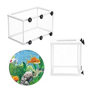 Aquarium M/l Fish tank gewond vis fokken incubator netto hangende vis broederij isolatie doos for aquarium accessoire…