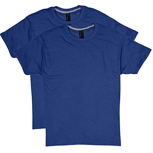 Hanes Men's 2 Pack X-Temp Performance T-Shirt, Deep Royal, Medium