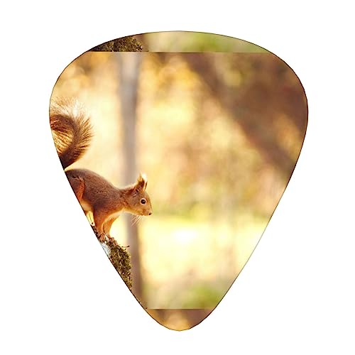 킢X M^[sbN Guitar Pick 12Zbg eBAhbv^ GLM^[/AR[XeBbNM^[/NVbNM^[/x[X̗KɍœK12Zbg
