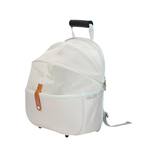 p obNpbN L[, qL ^Lp bN^, \tgNbVt ܂肽ݎ qL q p ybgL[obO nCLO Lv AEghA bK U sp