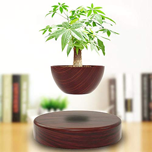 Maceta De Bonsai De Aire De LevitacióN MagnéTica, DecoracióN De Esc