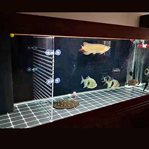 QoTang Aquarium Trennwand,Fisch Tank Teiler Acryl Aquarium Tank Trennung Fischseparator Fischseparator Aquarienabscheider Transparente Platte mit 8 Saugnäpfen (25x30 cm)