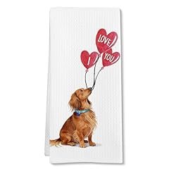 Long Haired Dachshund