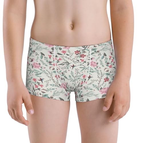 Boys' Cotton Boxer Brief Soft Underwear-Fairy Floral