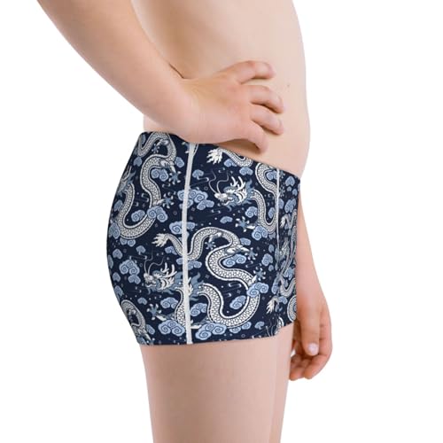 Boys' Cotton Boxer Brief Soft Underwear-Dragon2
