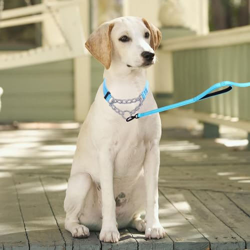 Collier martingale pour chien taille S bleu clair avec chaîne solide en acier inoxydable