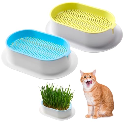 2 ciotole per erba di gatto: vassoio per erba di gatto, ciotola per germinazione, vaso per gatti con griglia di copertura per erba di gatto (grigio-verde+blu-bianco)