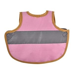 Riverry Veiligheidsvest voor kip, frame voor veren, voor kip, kleding voor huisdieren, gevogelte, veiligheidsdeel…