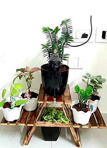 See full amazon price history chart for Mysoor Art Wooden Plant Stand with 3 Desks/Living Room Side Stand/Wooden Stool/Garden Table/Vase Stand for Garden and Outdoors Mysoor Art Wooden Plant Stand with 3 Desks/Living Room Side Stand/Wooden Stool/Garden Table/Vase Stand for Garden and Outdoors (B0BGS79RQJ) Amazon Price History, Amazon Price Tracker
