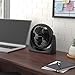 Amazon Basics Air Circulator Fan, Desk Fan for Bedroom, Home and Office, With 90-Degree Tilt Head, 3 Speed Settings, Lightweight (3 LBS), 35 Watts, Black, 11.1