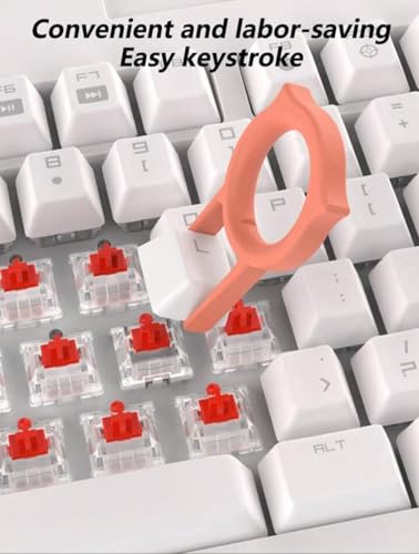 Kit Escova De Limpeza De Teclado Ferramenta Headset Fones Limpos