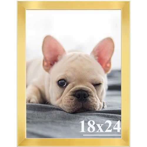 RUN HELIX 18x24 Picture Frames,Simple Designed Photo Frame,Certificate Document Frame for Horizontal and Vertical Formats,18x24 Poster Photo Frame Wall Gallery Home Office Decor,Gold