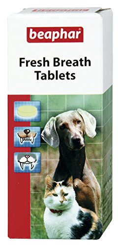 BeapharDog & Cat Fresh Breath 40 Tablets (Pack of 6)