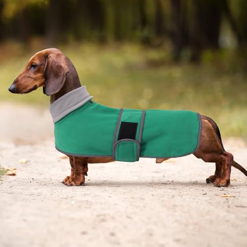 MOREZI Winterhundejacke mit wattiertem Flusenfutter, verstellbarem Klettknopf und hochklappbarem Stehkragen. Sehr gut geeignet für Dackel und kleine und mittelgroße Jagdhunde-Grün-XS