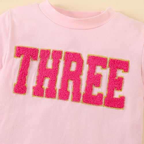 Toddler Baby Girls Birthday Shirt 2nd 3rd 4th Birthday Tshirt Two Three Four Bday Party Outfits Embroidery Tee Tops4