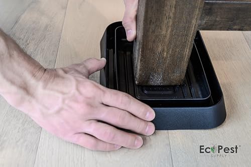 Ecopest Interceptores de percevejos de cama – Pacote com 4 | Bloqueador de percevejos de cama (GG) (