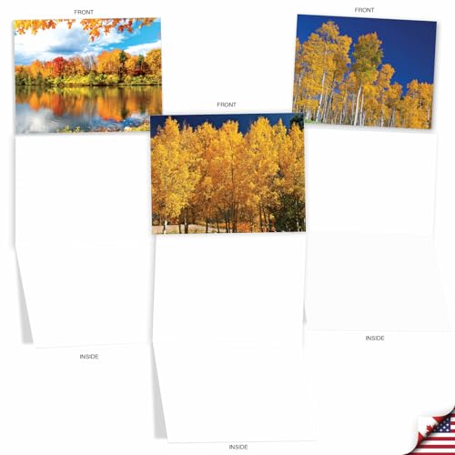 Image of The Best Card Company - 10 Beautiful Note Cards Blank (4 x 5.12 Inch) - Fall and Autumn Season, Boxed Notecard Assortment (Not Foil, Layered, or Sparkled) - Golden Foliage M1729BN