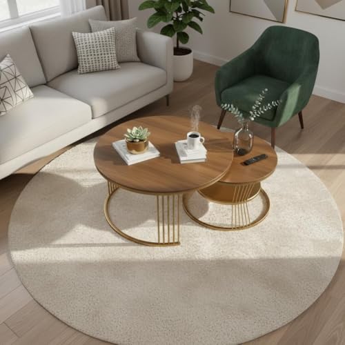Image of RIZIK Store Iron Frame Handmade 20.5 inch x 20.5 inch Round Coffee Table /Nesting Table /Side Table /Center Table with Engineered Wood Top for Living Room /Drawing Room /Balcony (Brown Gold)