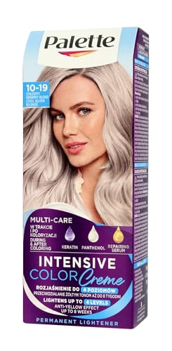 Palette Intensive Color Creme Long-lasting cream hair dye 10-19 Cool Silverl Blonde 110 ml. x 2 (Pack of 2)