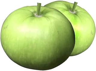 Apple Gourd Seeds 5pcs Organic Lagenaria Siceraria Pumpkin Bottle Melon DIY Vine Sweet Vegetables Fresh Premium Plants Seeds for Planting Garden Outdoor