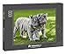 Produktbild fotopuzzle.de: Puzzle 1000 Teile Weißer Tiger