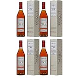 Domaine Tariquet Bas-Armagnac V.S.O.P. Frankreich I Visando Paket (4 x 0,7l)