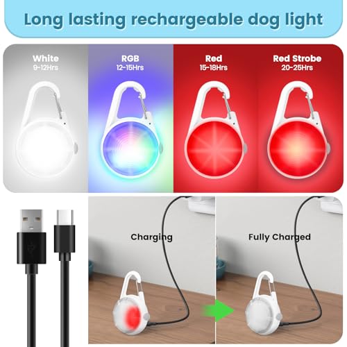 Hund Lichter für Nacht Spaziergang, 2er-Pack wiederaufladbare Clip auf Hund Kragen Licht blinkendes Licht wasserdicht für Nacht und Kinder Schultasche Reflektor, Sicherheitslicht für Kinder und Hund