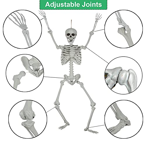 image for SUNREEK 5.4ft/165cm Halloween Full Body Skeleton, Plastic Human Skelet