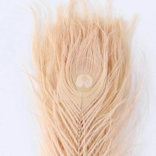 WYLZBA 10–12 Zoll große Pfauenfedern, natürliche Pfauenfedern, 10 Stück/Beutel, zum Basteln, Karneval, Party, Heimvase, Dekoration, Champagner, 10 Stück