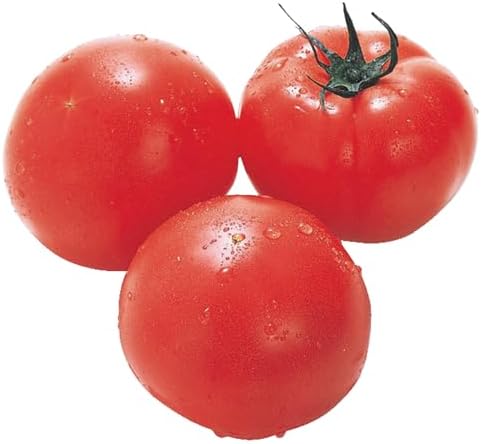 ライフコーポレーション 北海道・栃木産など国内産 トマト(袋) サイズにより3~5玉