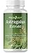 Produktbild Astragalus (Tragant) Hochdosiert - 1200 mg reiner 10:1 Extrakt pro Tag - 90 Kapseln - 50% Polysaccharide - vegan